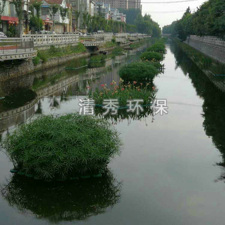 19山東微山小新河