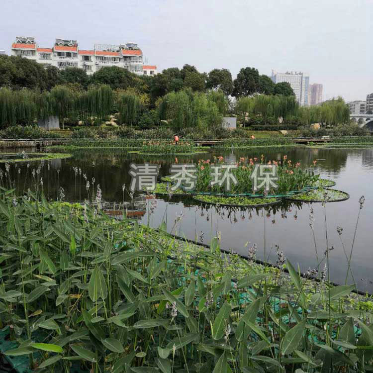 18湖南岳陽王家河