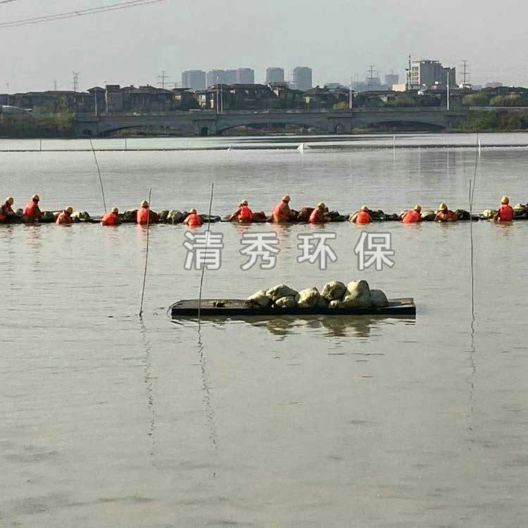 15武漢東西湖苦草種植