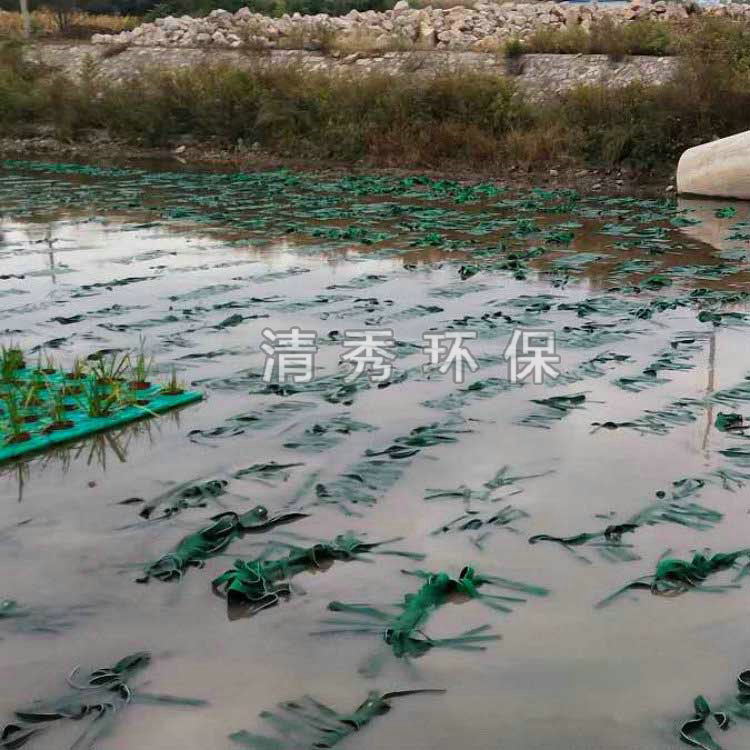 12宿州生態(tài)基安裝